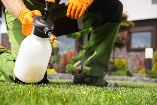 Best Rat Extermination Near Me  in Lakewood Park, TN
