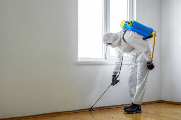 Best Cockroach Control Services  in Lakewood Park, TN