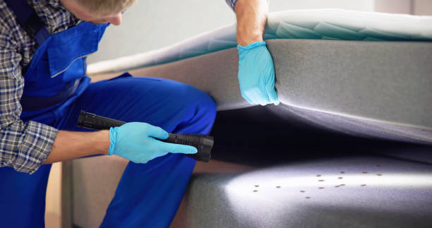 Reliable Lakewood Park, TN Pest Control Solutions