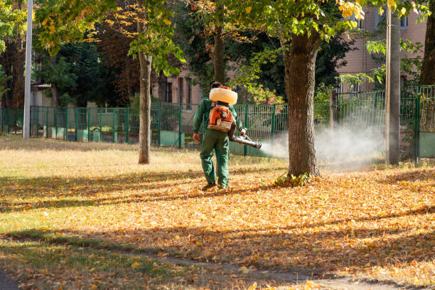 Best Bed Bug Extermination  in Lakewood Park, TN