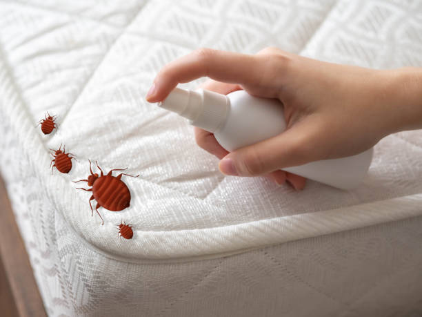 Best Pest Removal Services  in Lakewood Park, TN