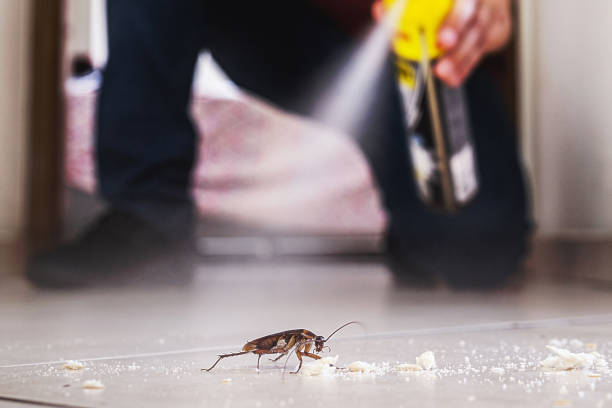 Best Best Pest Control Companies  in Lakewood Park, TN