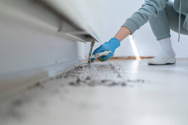 Best Mosquito Control Services  in Lakewood Park, TN